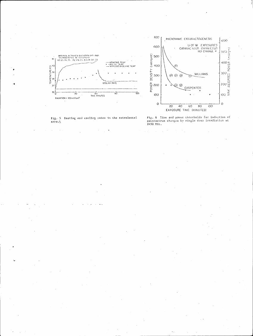 Fig. 5 Heating and cooling rates in the retrolental area.