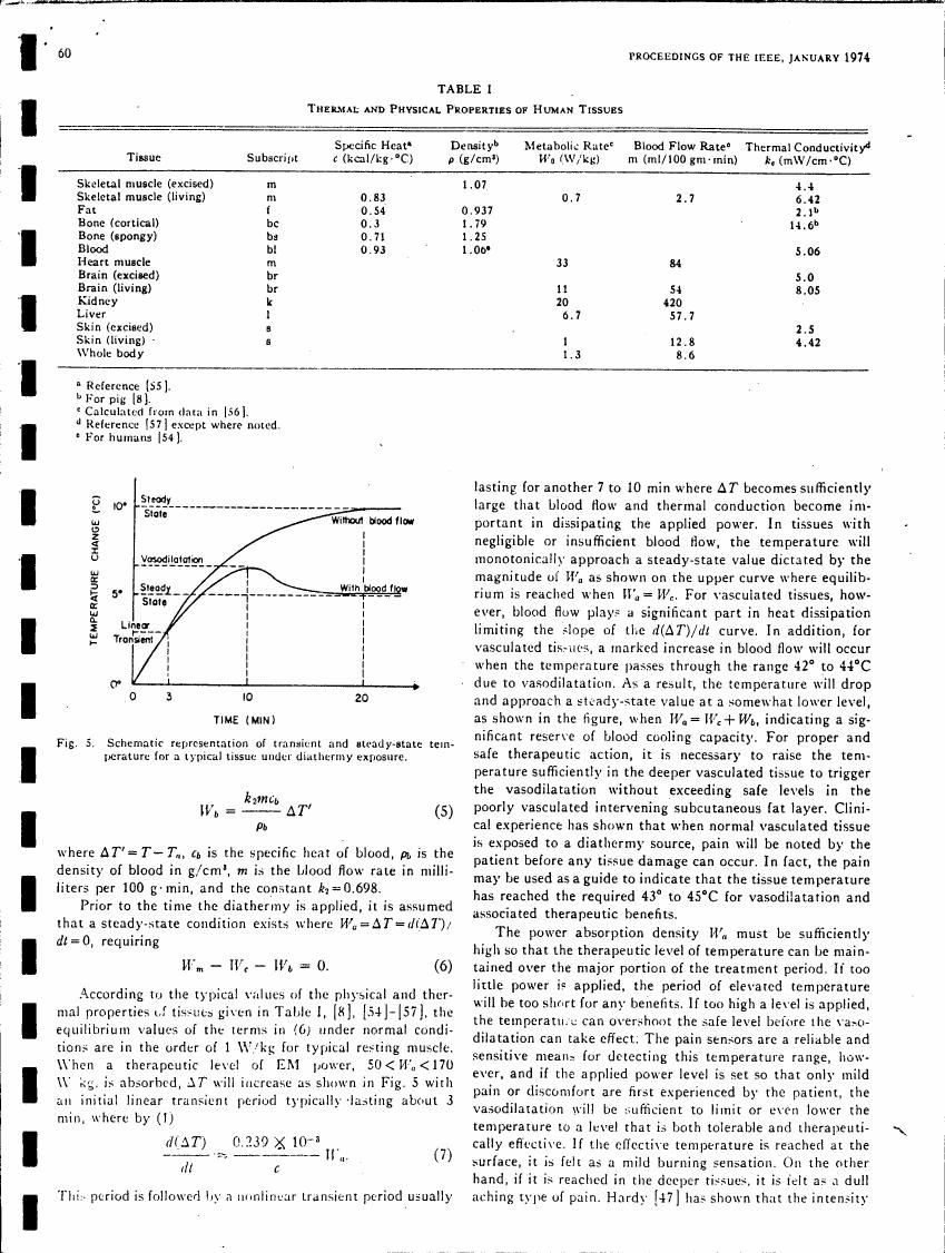 Schematic representation of transient and steady-state temperature for a typical tissue under diathermy exposure.