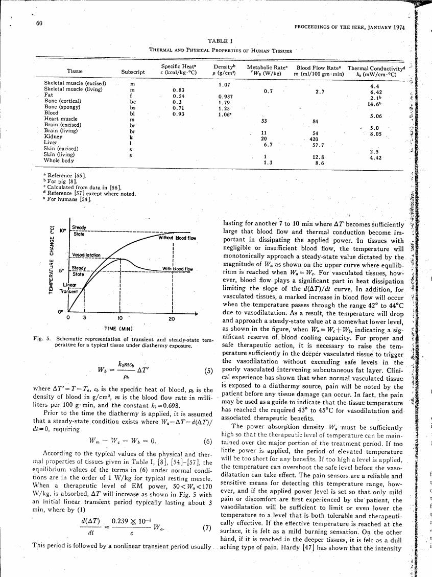 Figure 5. Schematic representation of transient and steady-state temperature for a typical tissue under diathermy exposure.