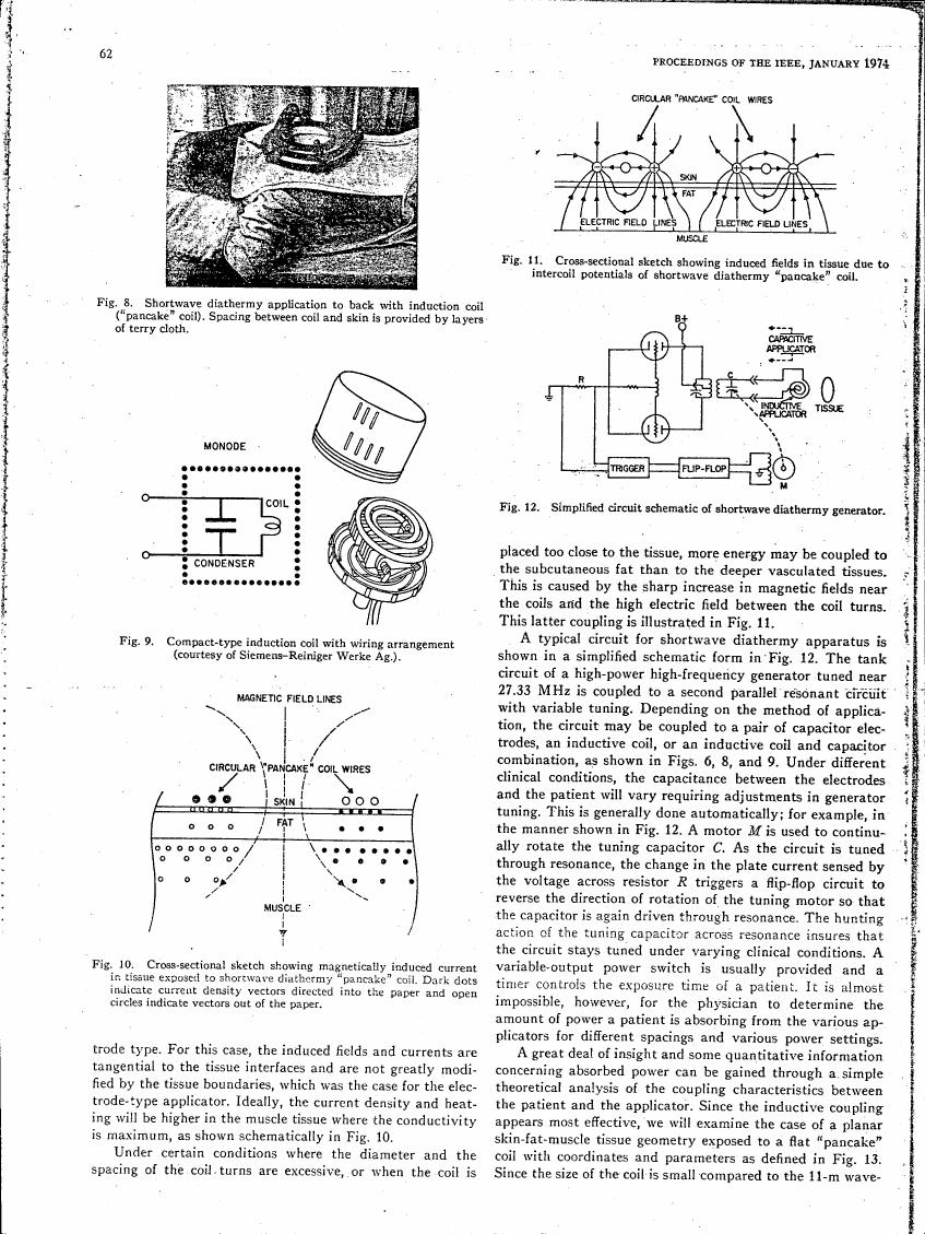 AI-described figure: Figure 10. Cross-sectional sketch showing magnetically induced current in tissue exposed to shortwave diathermy 'pancake' coil.