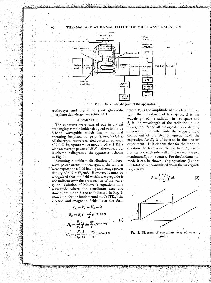 Fig. 1. Schematic diagram of the apparatus.