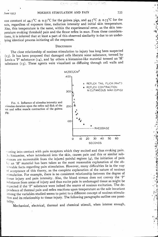 Figure 6 illustrates the influence of stimulus intensity and duration on reflex tail flick in rats and muscle contraction in guinea pigs.