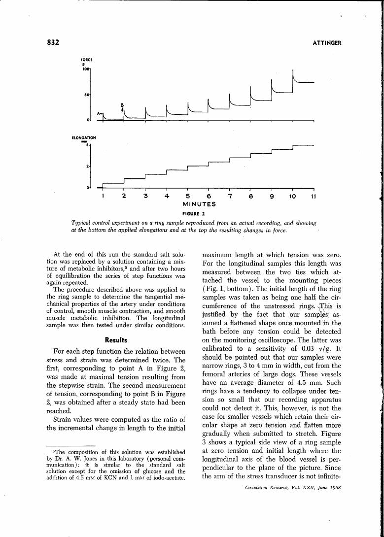 Typical control experiment on a ring sample reproduced from an actual recording, and showing at the bottom the applied elongations and at the top the resulting changes in force.