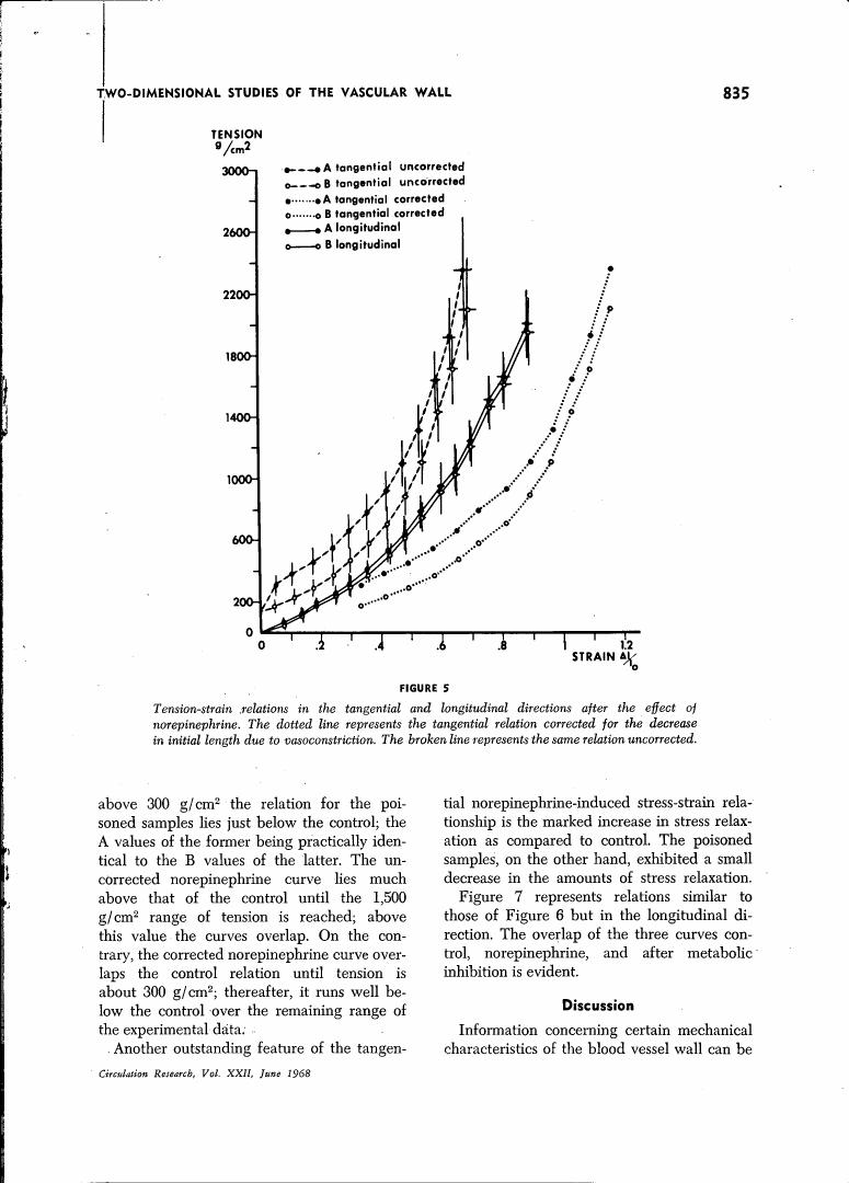 Figure 5: Tension-strain relations in the tangential and longitudinal directions after the effect of norepinephrine.
