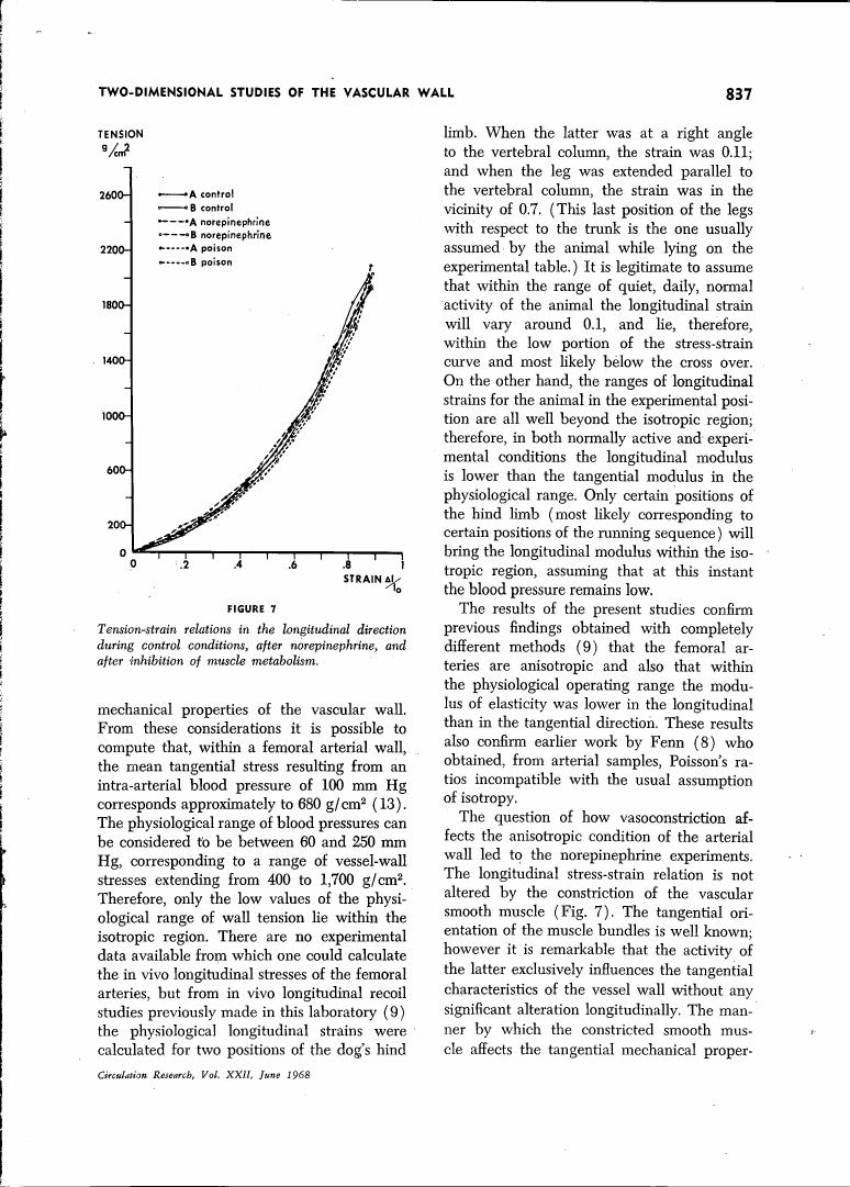 Tension-strain relations in the longitudinal direction during control conditions, after norepinephrine, and after inhibition of muscle metabolism.
