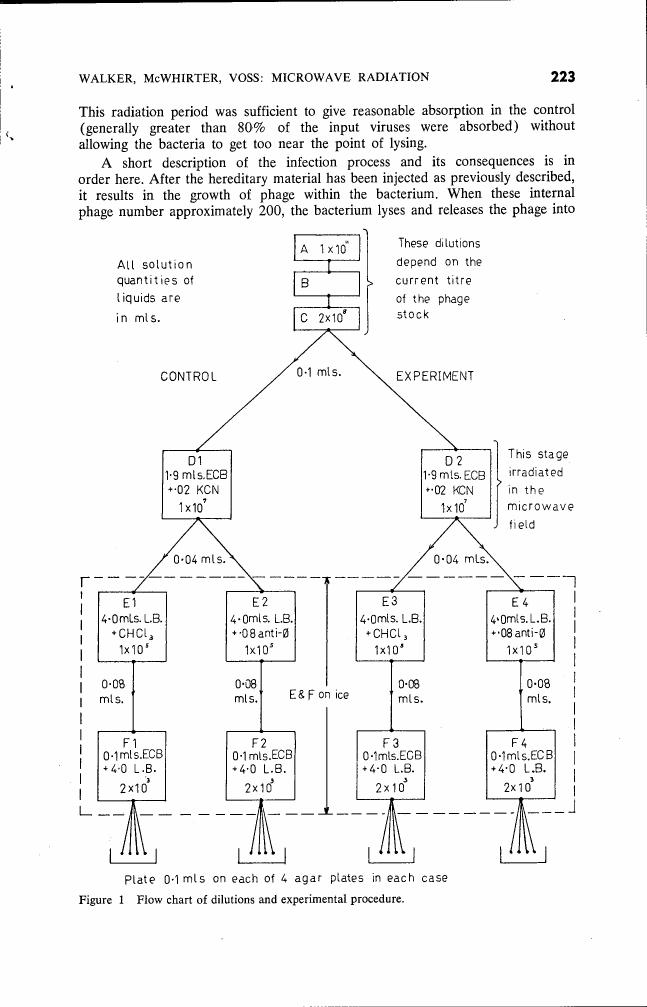 Figure 1: Flow chart of dilutions and experimental procedure.