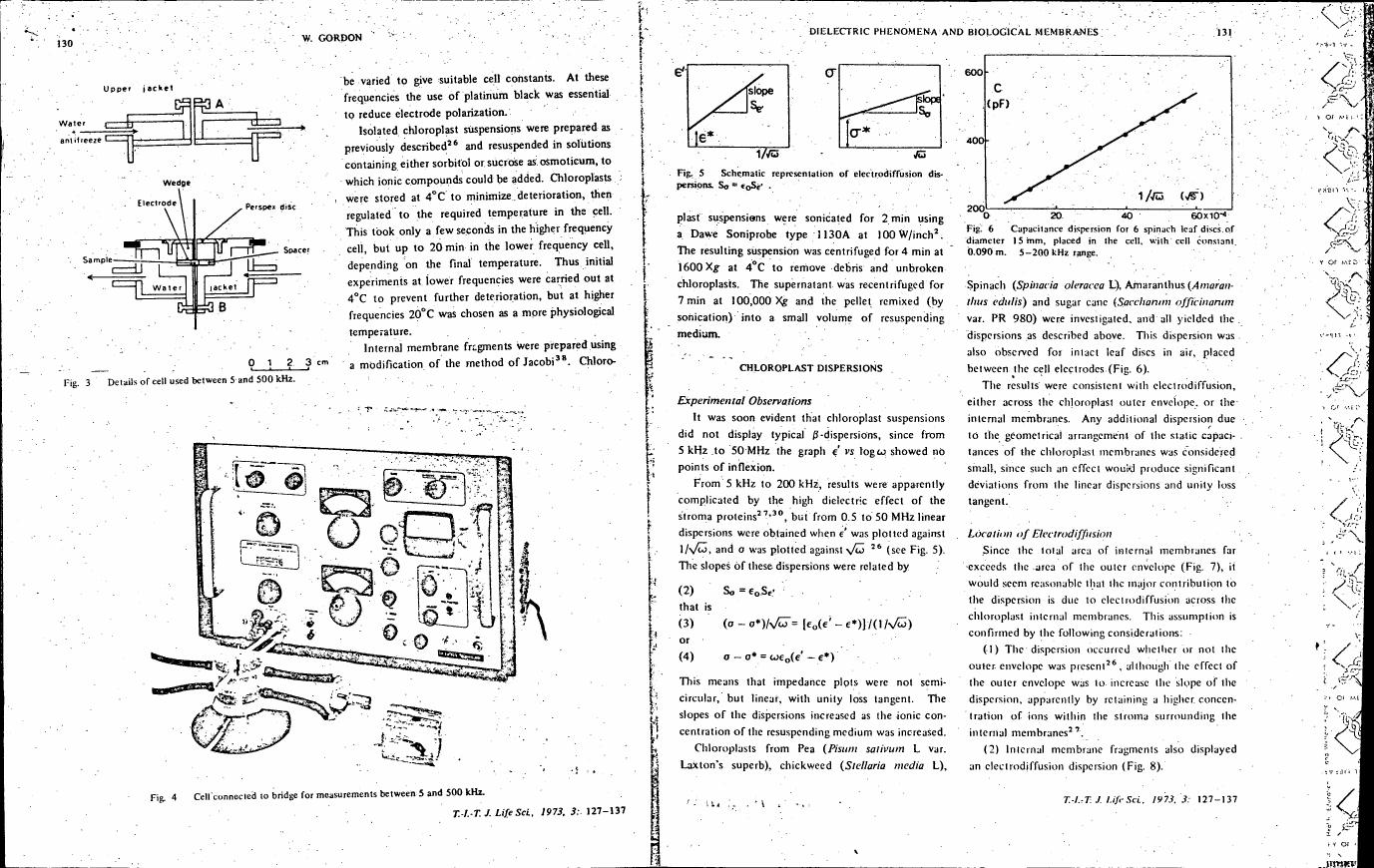 AI-described figure: Figure 5: Schematic representation of electrodiffusion dispersions. So = ε0Se'