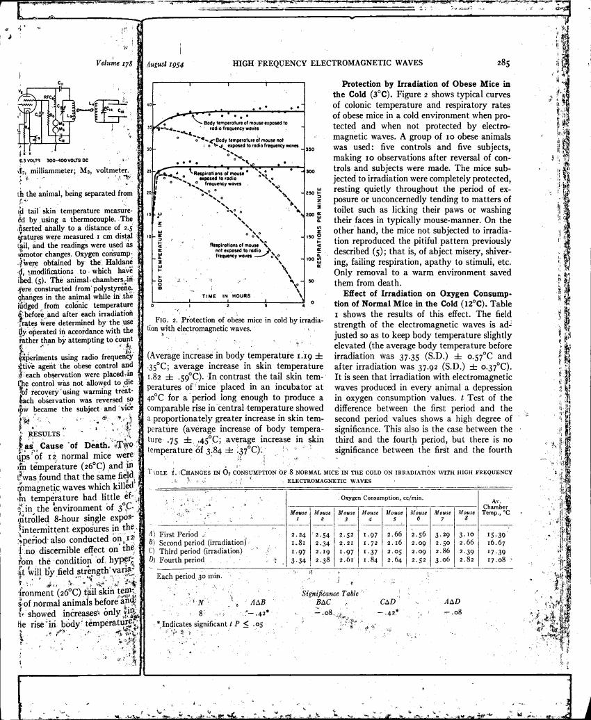 AI-described figure: Figure 2 illustrates typical curves showing body temperature and respiratory rates of obese mice exposed to radio frequency waves in a cold environment.