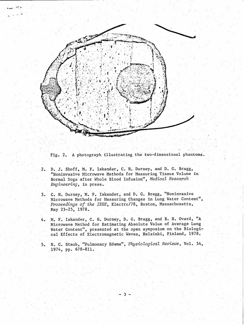 Fig. 2: A photograph illustrating the two-dimensional phantoms.