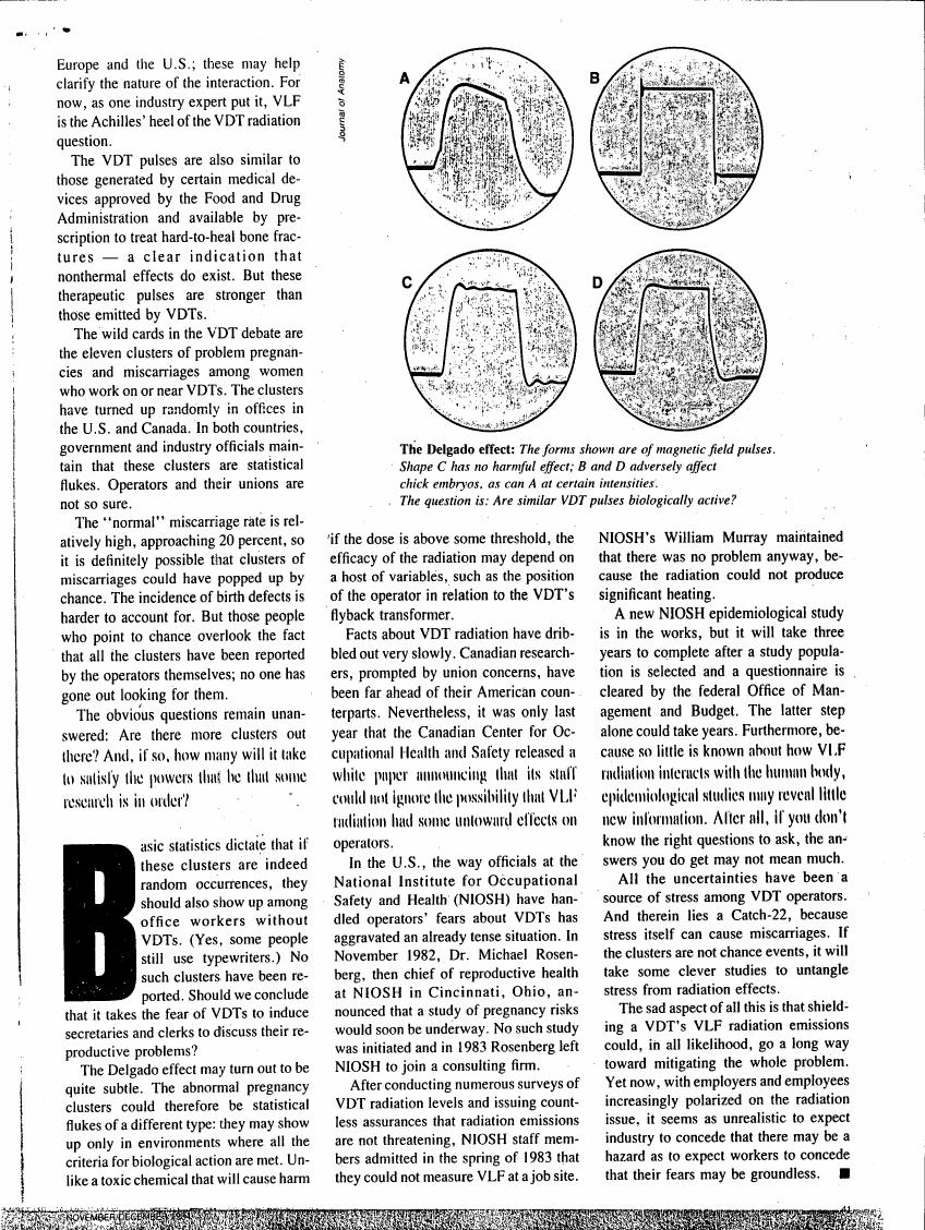 The Delgado effect: The forms shown are of magnetic field pulses. Shape C has no harmful effect; B and D adversely affect chick embryos, as can A at certain intensities.