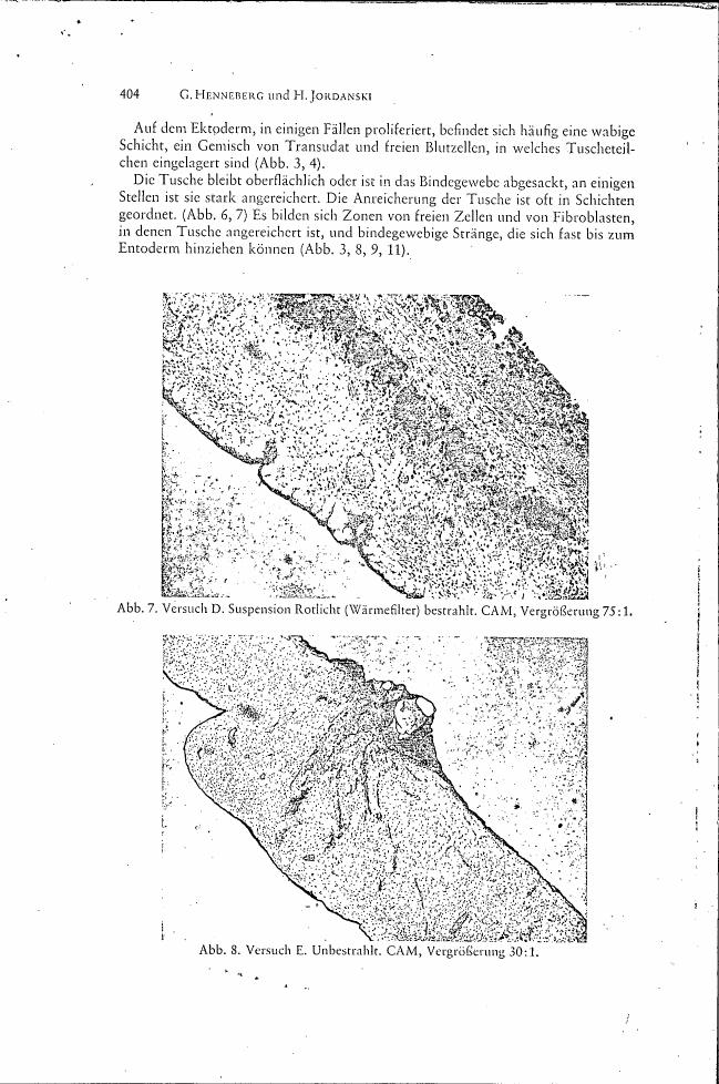 AI-described figure: Microscopic images showing experimental results with different treatments (Abb. 7 and Abb. 8).