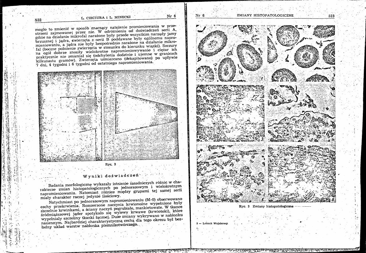 AI-described figure: Histopathological changes observed in experimental animals (Figure 3)